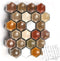 Homazing Set of 24 Hexagon Glass Spice Jars with Shaker Lids and Labels