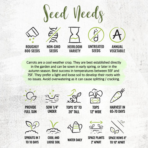(5 Packs) Seed Needs Carrot Seeds for Planting Rainbow Carrots - Non-GMO Heirloom & Untreated Veggie Seed to Grow a