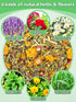 21OZ 6 Chicken Nesting Herbs for Outdoor Indoor Chicken Coop - Natural Egg-Laying Box Feed Herbs in Premixed Dried