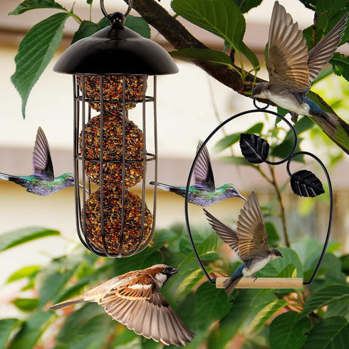 winemana Set of 3 Hummingbird Swings, Rust Resistant Metal Frame, Perfect for Hanging Indoor or Outdoor