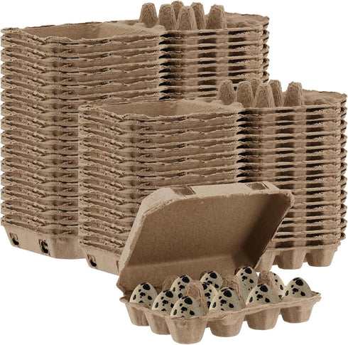 JEUIHAU 50 PCS Quail Egg Pulp Cartons Bulkj, 3 x 4 Square