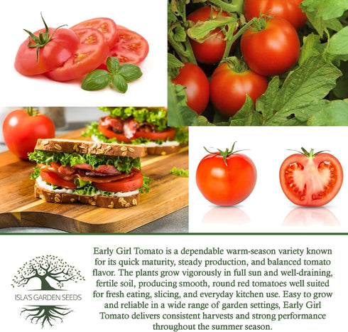 25+ Packet, 90% Early Girl Tomato Seeds for Planting, Seeds Per (Isla's Garden Seeds), Non GMO Seeds, Botanical Name: