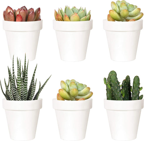 Youngever 10 Pack 3 Inch Mini Plastic Planters - White Gardening Pots with Drainage for House Plants, Flowers, Herbs