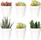 Youngever 10 Pack 3 Inch Mini Plastic Planters - White Gardening Pots with Drainage for House Plants, Flowers, Herbs