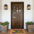 Welcome Mats for Front Door Outdoor Entry, Mardi Gras Masks Doormat, Funny Non Slip Mat for Home Indoor Rugs 17x30 Inch