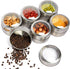 TEEM Stainless Steel Magnetic Spice and Condiment Organizer Kit 6-Piece 75ml (2.5 oz)