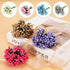 144Pcs PATIKIL Mini Artificial Pip Berry Picks Bunch, Fruit Flower Stamens for Craft DIY Wreaths Wedding Floral