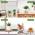 ARTORA 2PCS) Mid Century Modern Plant Stand, Wood Indoor Plant Holder Succulents Plant Pot Raiser Decorative Corner