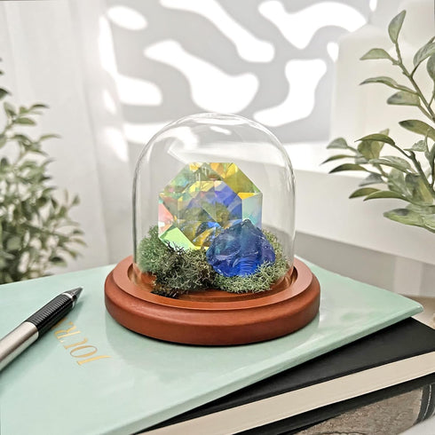 Plymor 3" x 3" Glass Display Dome Cloche with Walnut Base