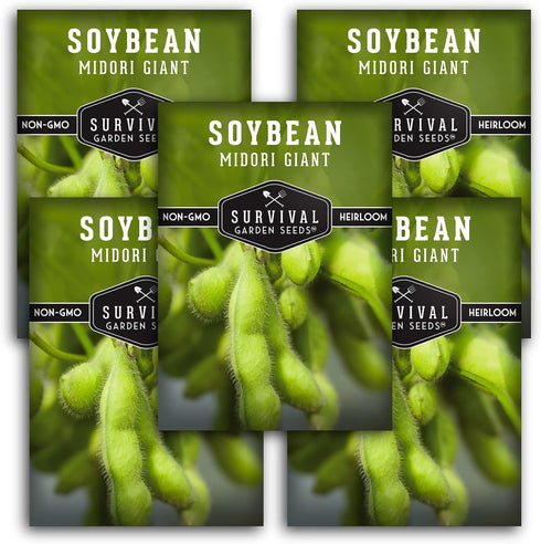 Midori Giant Soybean Seeds for Planting - Grow Protein-Rich Edamame Pods in