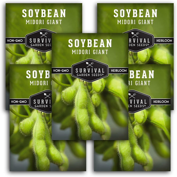 Midori Giant Soybean Seeds for Planting - Grow Protein-Rich Edamame Pods in