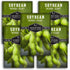 Midori Giant Soybean Seeds for Planting - Grow Protein-Rich Edamame Pods in