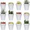 Youngever 24 Pack Mini Plastic Planters - 2 Inch Indoor Flower Pots, Grey Gardening Pot with Drainage