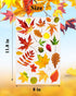 Fall Decorations for Home, Fall Window Clings, Thanksgiving Decorations with Maple Leaves Stickers for Decor