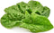 Heirloom Viroflay Spinach Seeds for Planting - 500 Seeds - Heirloom, Non-GMO,