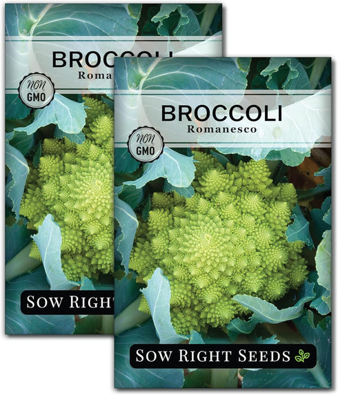 Sow Right Seeds - Romanesco Broccoli Seeds for Planting - Non-GMO Heirloom