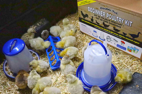 Bulb, Double-Tuf Chicken and Poultry Starter Kit | Heat Lamp, Light Feeders, Waterer, and Guide Book for Backyard