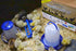 Bulb, Double-Tuf Chicken and Poultry Starter Kit | Heat Lamp, Light Feeders, Waterer, and Guide Book for Backyard