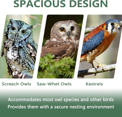 Box,13.5x9.5 Inch PROLEE Owl House,Owl Nesting Box for Outside with Mounting Screws and Wood Shavings,Cedar Wood Owls