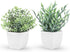 Der Rose 2 Pack Small Fake Plants, Artificial Eucalyptus Greenery in Pots for Bedroom Living Room Decor