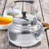 ULTECHNOVO Tea Kettle, Stainless Steel Teapot for All Stovetops with Ergonomic Handle