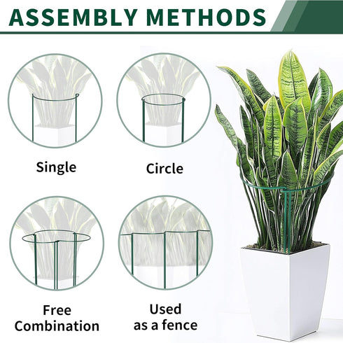10 Pack 10" 16"(H) Peony Cages and Supports, (W) x Plant Support, Heavy-Duty Metal Plant Support Stakes, Plant Stakes
