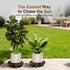 2 Pack 13'' 300Lbs 360Lockable Plant Caddy with Wheels Rolling Plant Stand Indoor Outdoor, Heavy Duty Wooden Plant