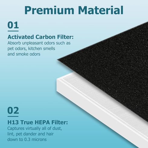 Improvedhand C545 Replacement Filter S Compatible with Winix C545 Air Purifier, 2 Pack H13 True High Efficiency Filter and 8 Pack Activated Carbon Filters, Replace Part # 1712-0096-00 and 2522-0058-00