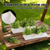 FMOACEN 5 2 PCS Plastic Plant Tray Saucer with Removable Drain Plugs Rectangular Window Sill Drainage Tray for Indoors