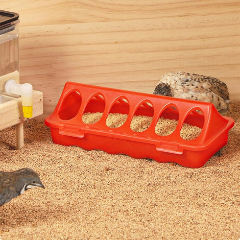 5 Pack Set TINSKY Chick Feeder and Waterer Plastic Baby Chicken Brooder Starter Kit with Chick Perch for Small Poultry