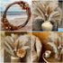 CKBT 300 PCS Dried Pampas Grass Decor, Dried Flower Bouquets for Wedding, Home, Centerpiece Table, Modern Home, Western