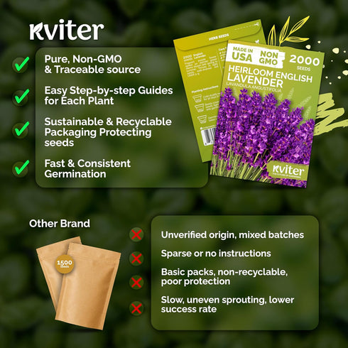 2000 KVITER English Lavender Seeds for Planting Outdoor & Indoor (Lavandula angustifolia) True Lavender Flowers