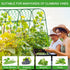 (Green,65"x49.2"x23.6") Extra Large Cucumber Trellis for Raised Bed, U-Shape Garden Trellis for Climbing Plants