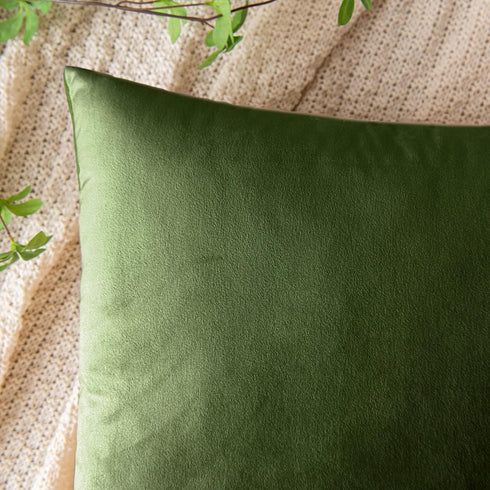 Pack 2 20x20 Inch EMEMA of Velvet Throw Pillow Covers Decorative Square Pillowcase Soft Solid Cushion Case for Sofa