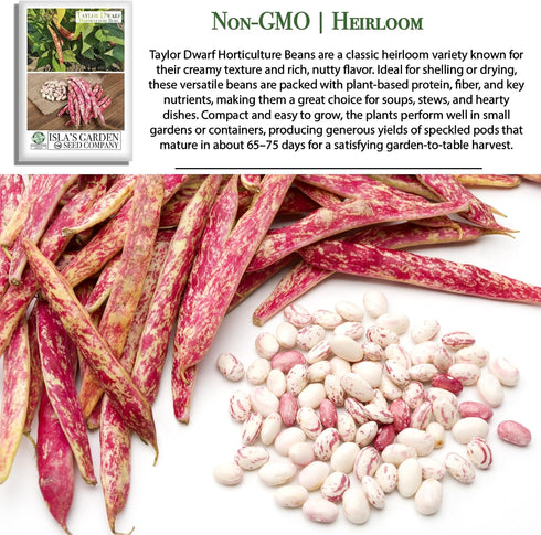 25+ 85% Taylor Dwarf Horticulture Bush Bean Seeds (Phaseolus vulgaris) Non-GMO Heirloom Cranberry Bean Seeds