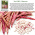 25+ 85% Taylor Dwarf Horticulture Bush Bean Seeds (Phaseolus vulgaris) Non-GMO Heirloom Cranberry Bean Seeds