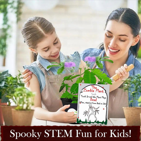 Zombie Plant Seed Packets (2) – Grow Your Own Live Zombie Plant for Fun & Educational STEM Activity