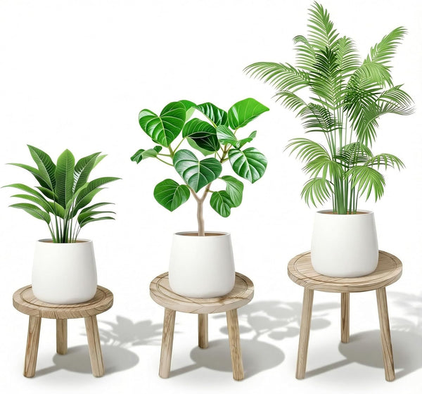 SEQUEDA Wood Plant Stands Indoor, 3-Pack Single Plant Stand for 6-12 Inch Pots,