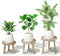 SEQUEDA Wood Plant Stands Indoor, 3-Pack Single Plant Stand for 6-12 Inch Pots,