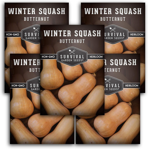 Survival Garden Seeds - Butternut Squash Seed for Planting - Packet with