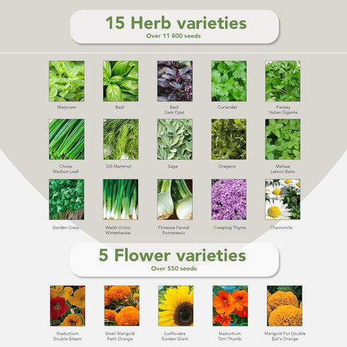 Pack 75 30,000 Garden Grow Your Own Kit - Varieties of Herb, Flower and Vegetable Seeds - Gardening Gifts for Men
