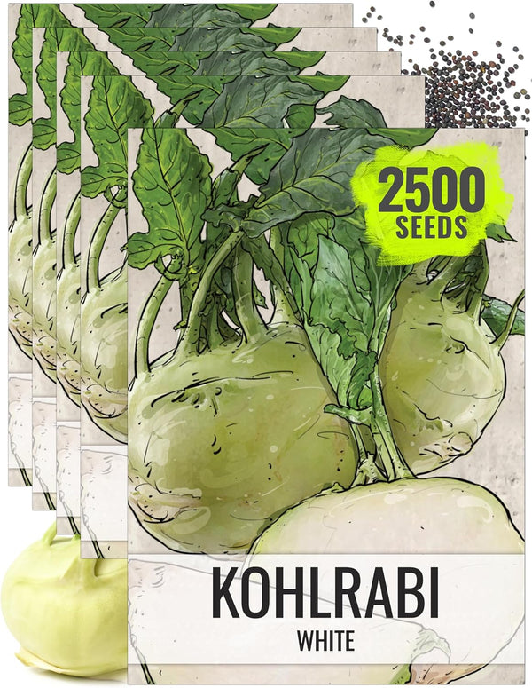 Seed Needs Kohlrabi Seeds for Planting Purple Vienna Kohlrabi Crops - Non-GMO