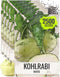 Seed Needs Kohlrabi Seeds for Planting Purple Vienna Kohlrabi Crops - Non-GMO