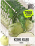Seed Needs Kohlrabi Seeds for Planting Purple Vienna Kohlrabi Crops - Non-GMO