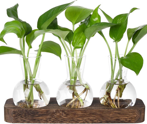 YIBOT Propagation Stations,Plant Propagation Vase,Desk Plant Terrarium with Retro Wooden Stand,Plant Lover