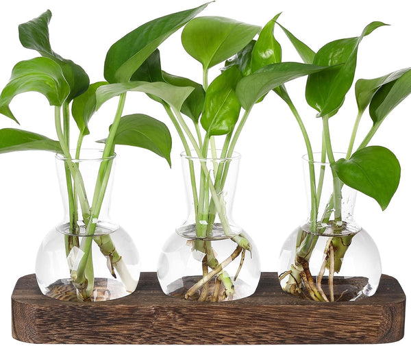 YIBOT Propagation Stations,Plant Propagation Vase,Desk Plant Terrarium with Retro Wooden Stand,Plant Lover