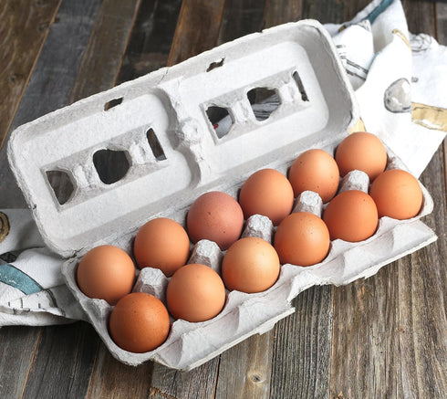 1 Dozen (Pack 25) MT Products Printed Natural Pulp Egg Cartons - Disposable Egg Storage Container of - Made in the USA