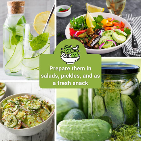 Pack Packets Sow Right Seeds - Cucumber Seed Collection for Planting - Pale Armenian, Pickling, Lemon, Beit Alpha