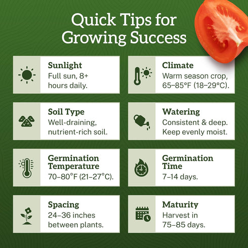 75+ TKE Farms & Gardens - Beefsteak Tomato Seeds for Planting, Heirloom Non-GMO Variety, Grow Large Juicy Slicing