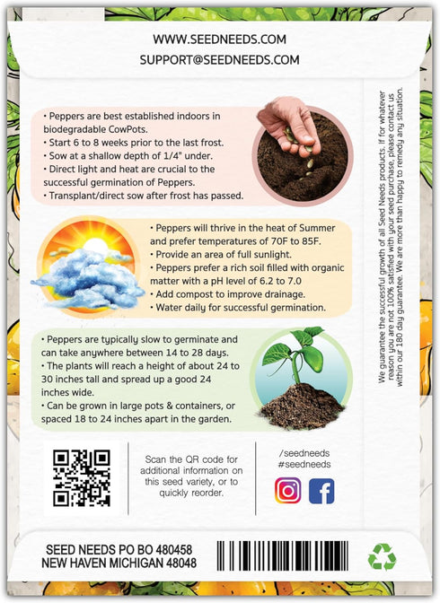 (5 Packs) Seed Needs Hot Pepper Seeds for Planting Jamaican Yellow Chile Peppers - Non-GMO Heirloom & Untreated
